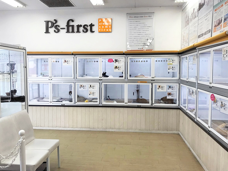 ペッツファースト市川コルトンプラザ店の店舗写真