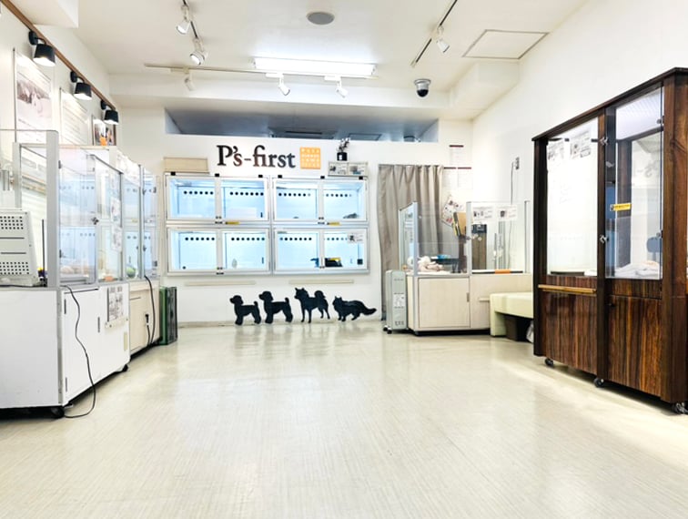 ペッツファースト下北沢店の店舗写真