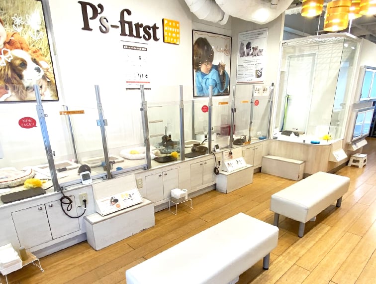 ペッツファースト自由が丘店の店舗写真