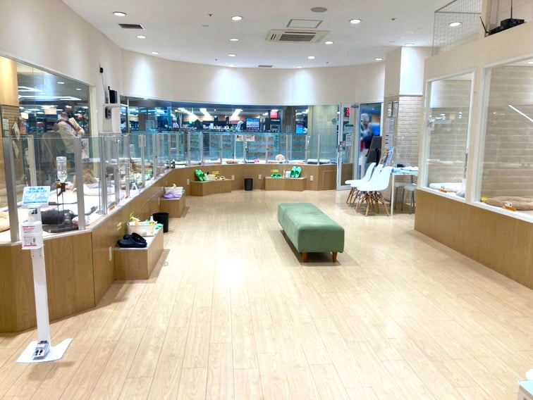 ペッツファースト秋田店の店舗写真