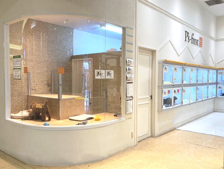 ペッツファーストおゆみ野店の店舗写真