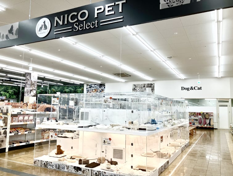 ペッツファースト長久手店の店舗写真