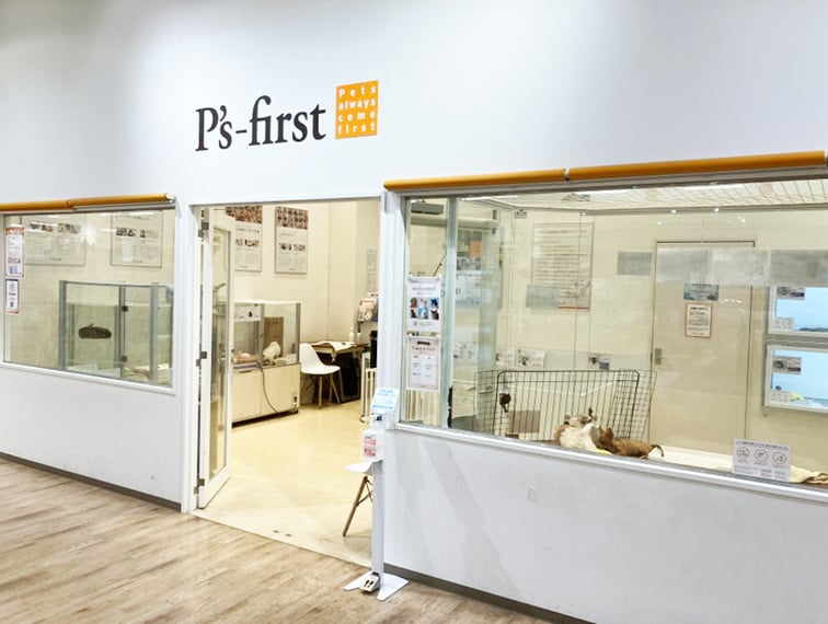 ペッツファースト千葉ニュータウン店の店舗写真