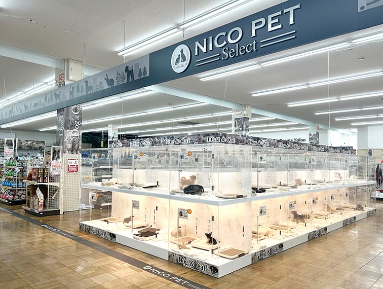 ペッツファースト岩槻店の店舗写真