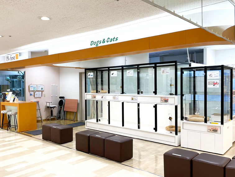 ペッツファースト高槻店の店舗写真