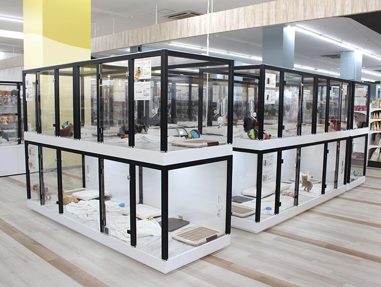 ペッツファーストさいたま新都心店の店舗写真
