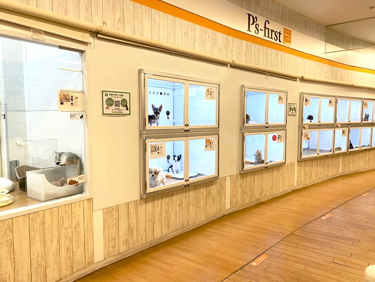 ペッツファースト茅ヶ崎店の店舗写真