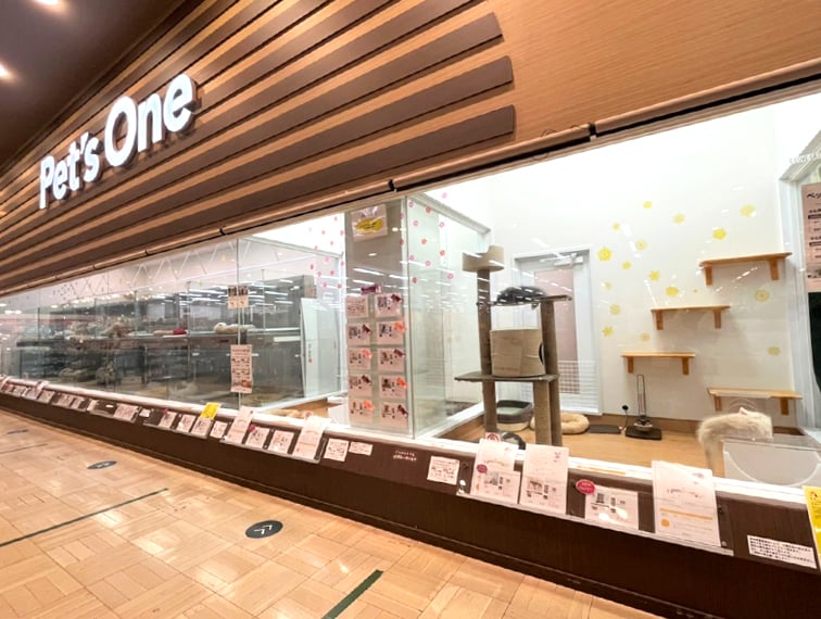 ペッツファーストカインズ千葉ニュータウン店の店舗写真