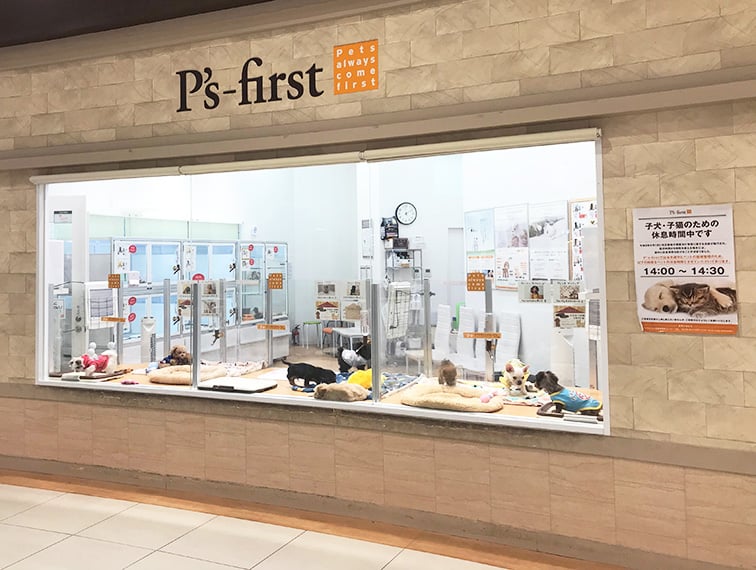 ペッツファースト福津店の店舗写真