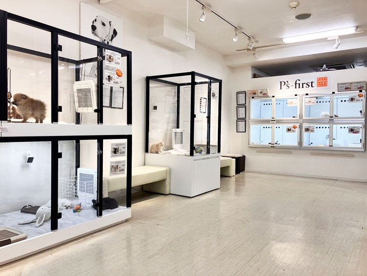 ペッツファースト下北沢店の店舗写真
