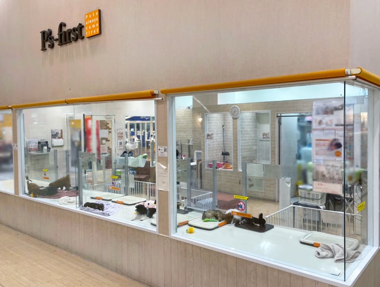 ペッツファースト昭島店の店舗写真