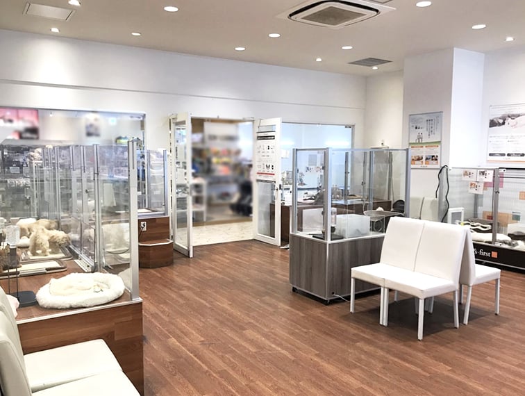 ペッツファースト流山おおたかの森店の店舗写真