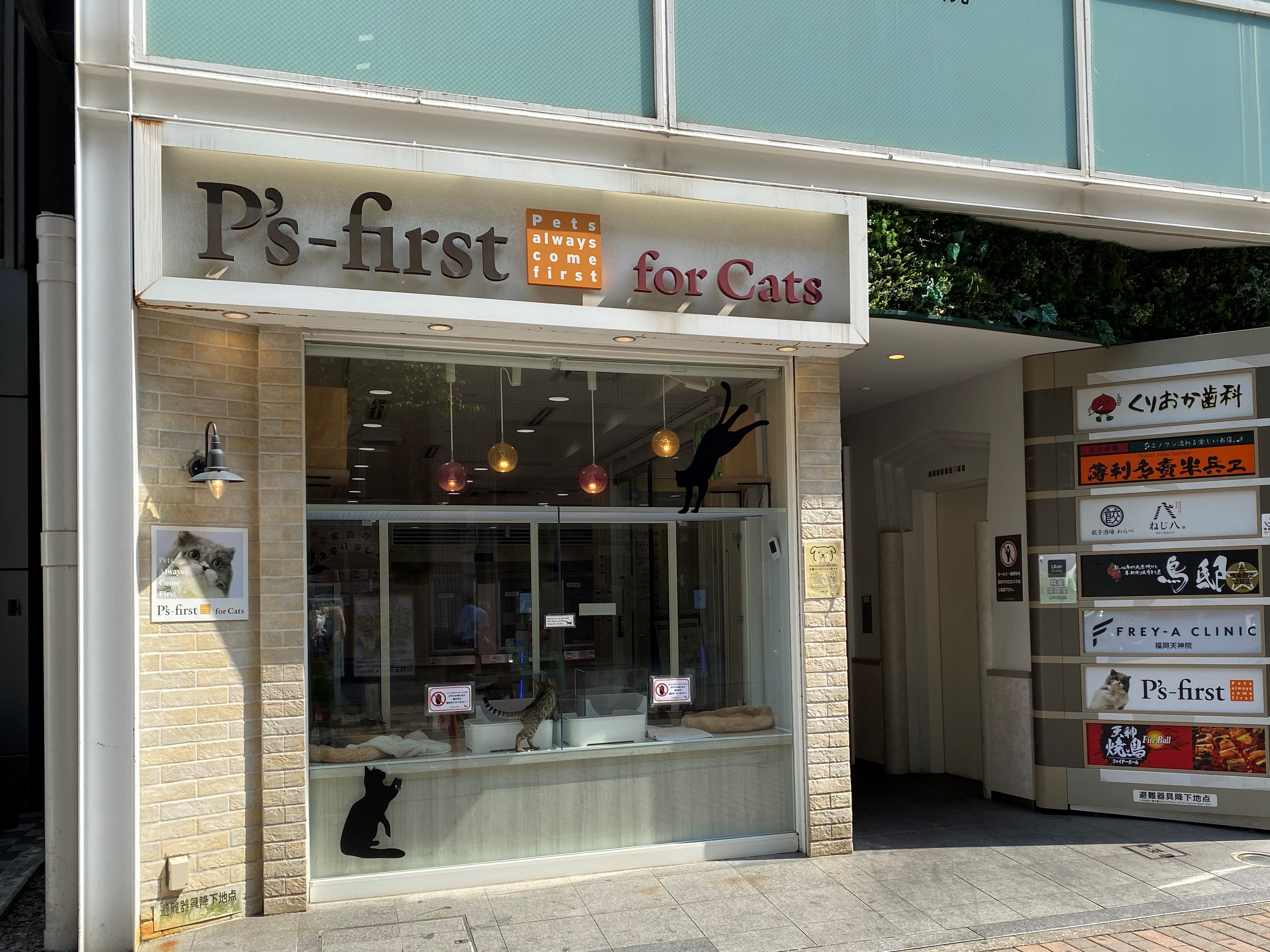 ペッツファーストfor cats福岡天神店の店舗写真