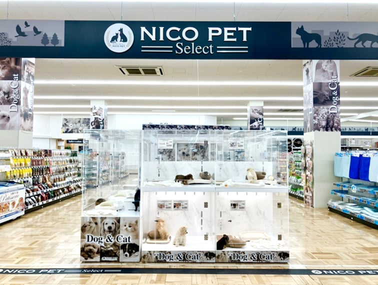 ペッツファースト四日市泊店の店舗写真