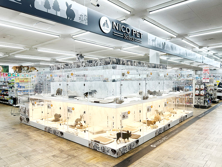 ペッツファースト上尾店の店舗写真