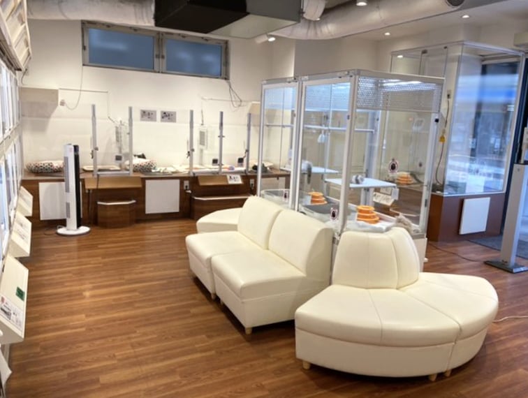 ペッツファースト町田店の店舗写真