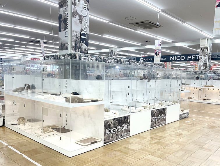 ペッツファースト春日部店の店舗写真