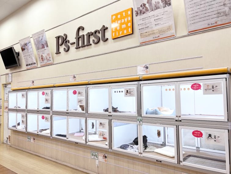 ペッツファースト久里浜店の店舗写真