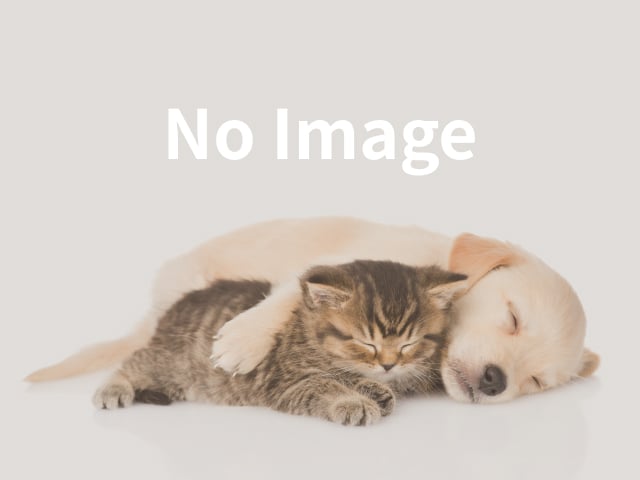ペッツファースト三条店の店舗写真